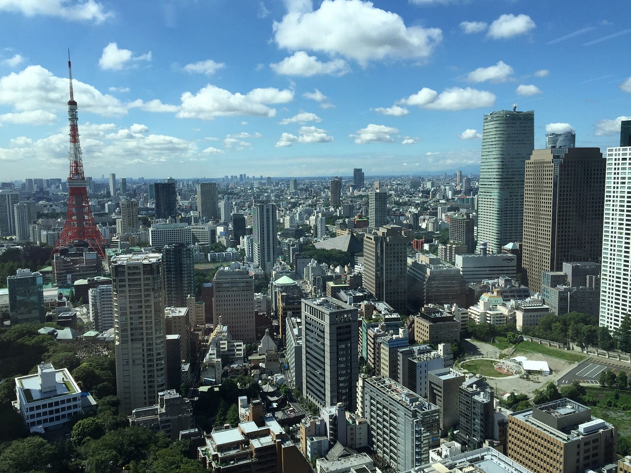 山东临沂最新新闻及其深度解析