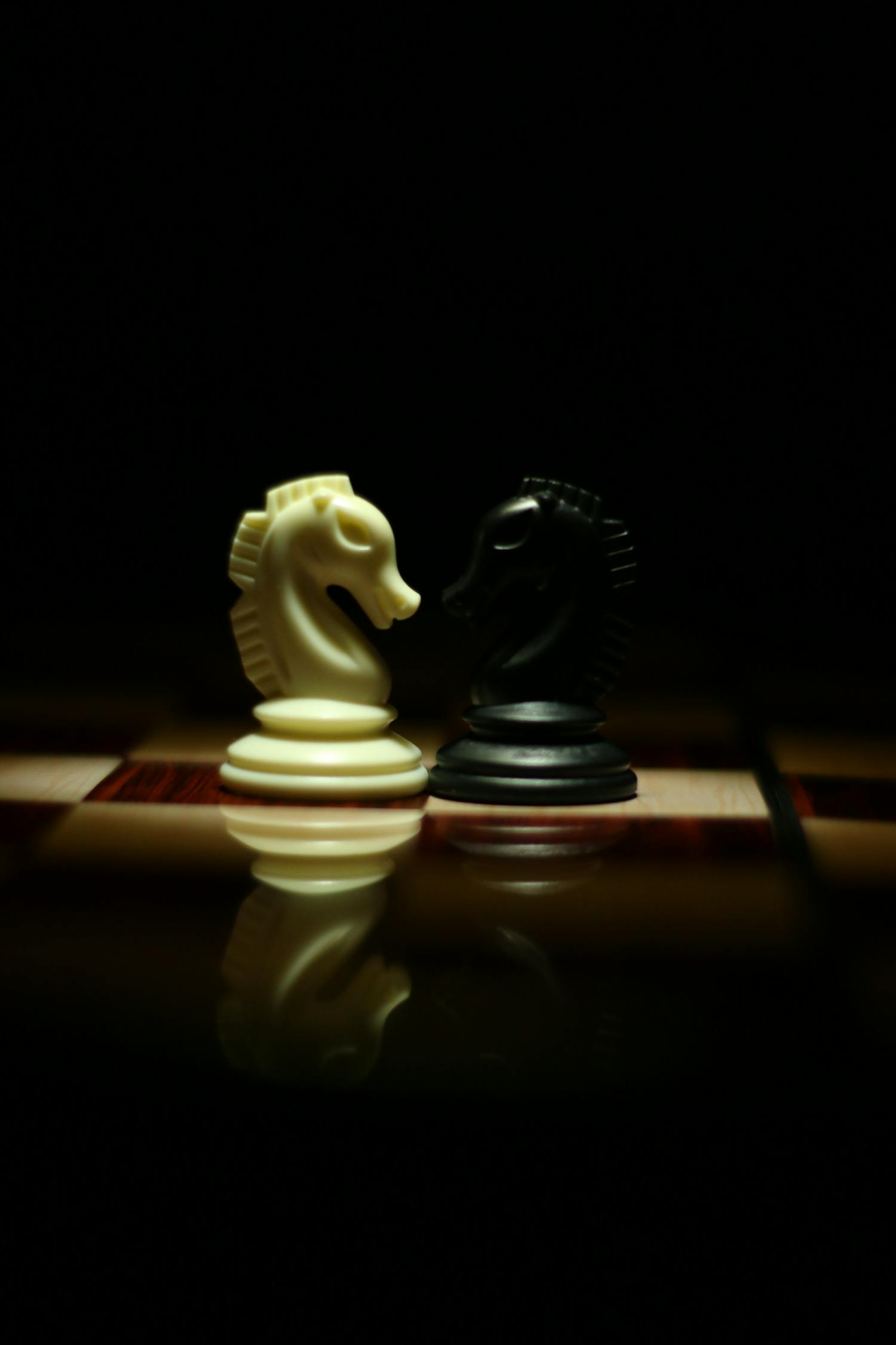 一白小姐一一肖必中特,动态词语解释落实_竞赛版11.527